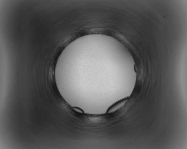 X0000086040669200704131936