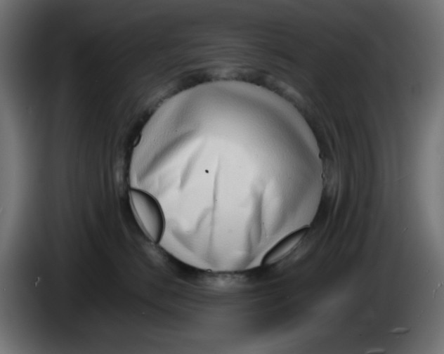 X0000086040670200704131936