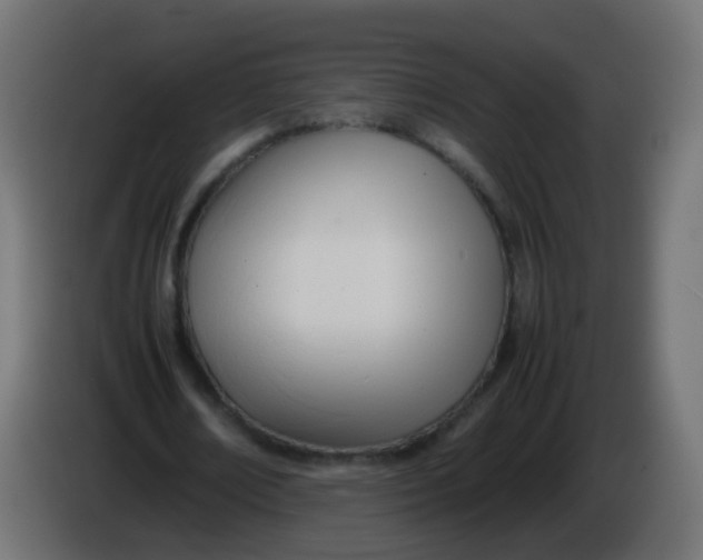X0000086040674200704131935