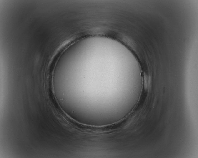X0000086040675200704131935