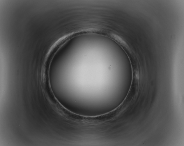 X0000086040676200704131935