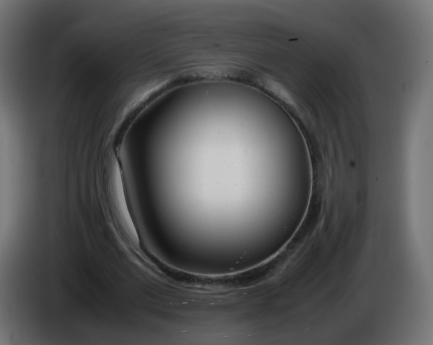 X0000086040677200704131935