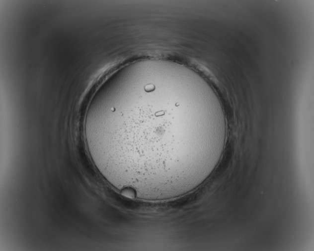 X0000086040679200704131935