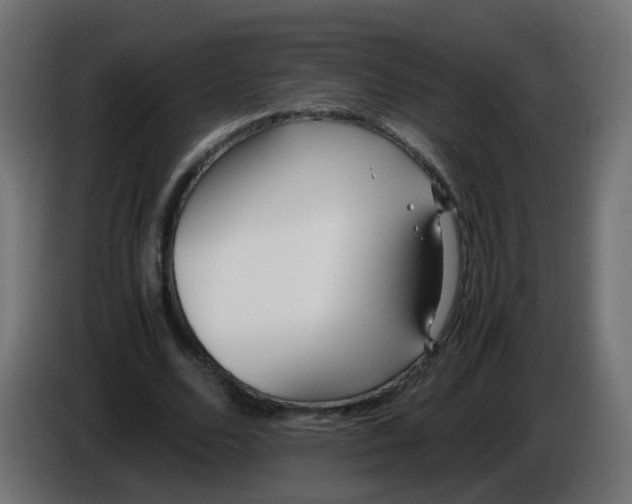 X0000086040680200704131935