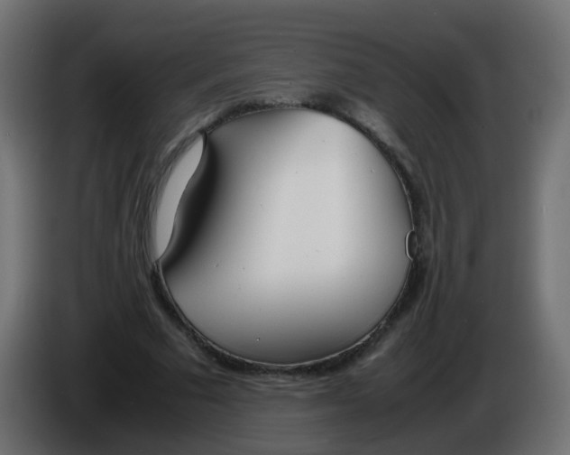 X0000086040681200704131935