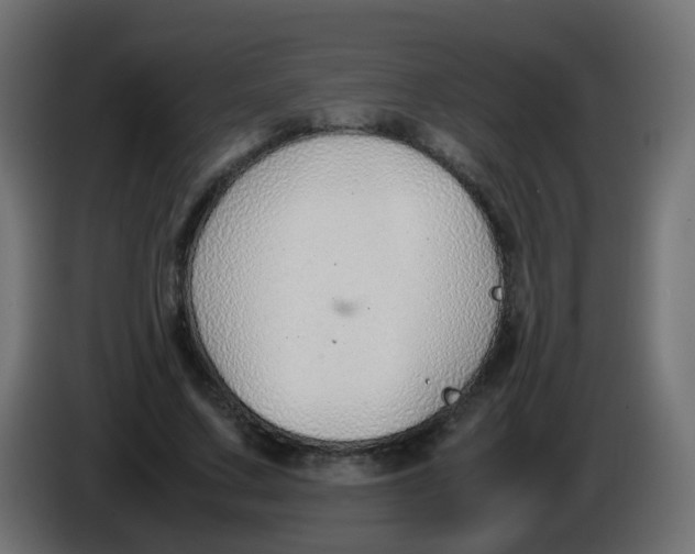 X0000086040683200704131935