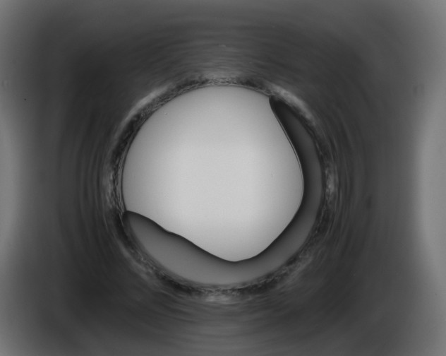 X0000086040684200704131935