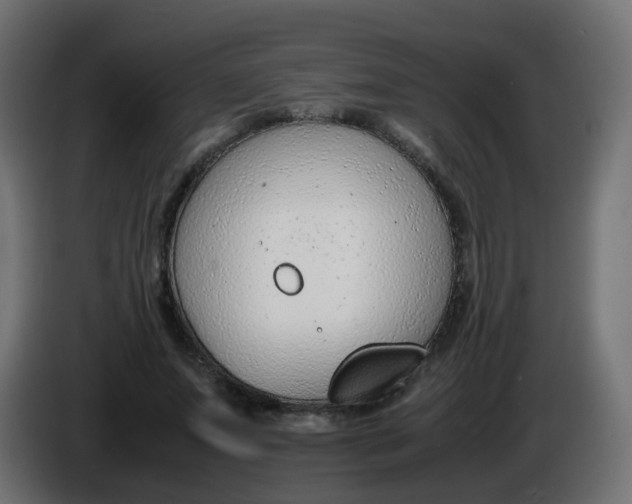 X0000086040687200704131935
