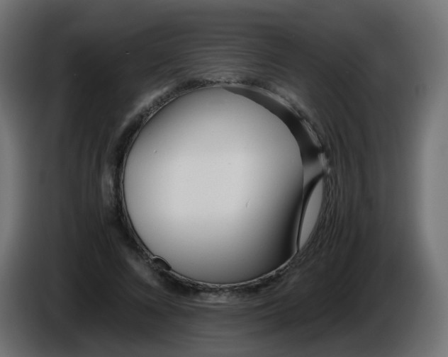 X0000086040688200704131935