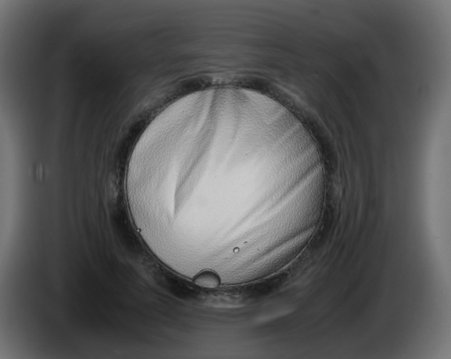 X0000086040691200704131935