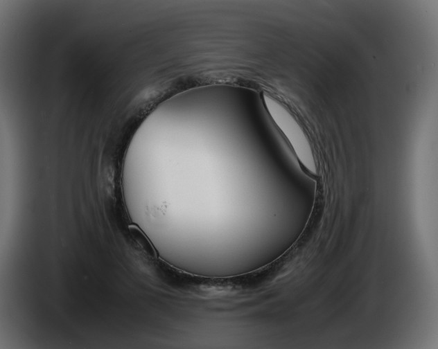X0000086040693200704131935