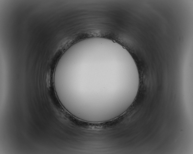 X0000086040694200704131935
