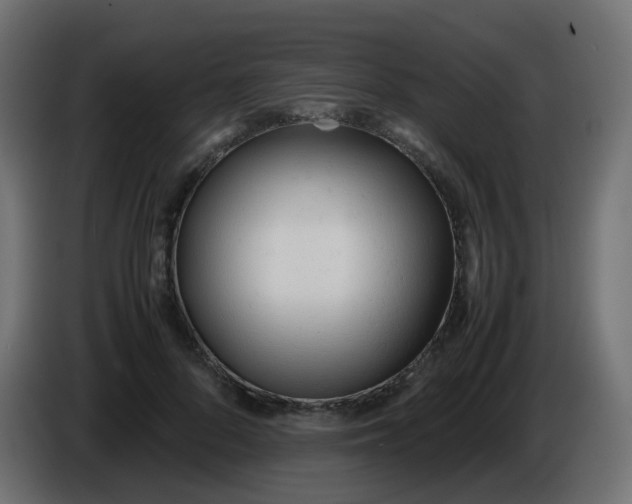 X0000086040696200704131935