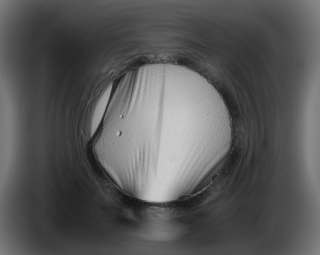 X0000086040699200704131935