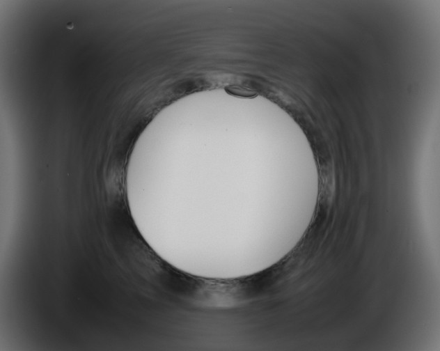 X0000086040713200704131935