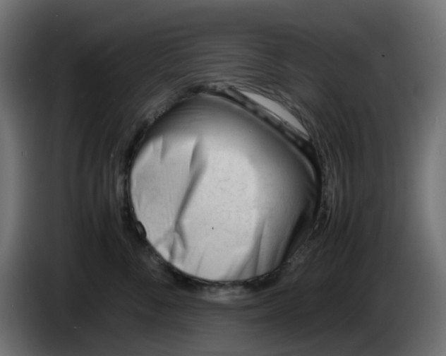X0000086040716200704131935