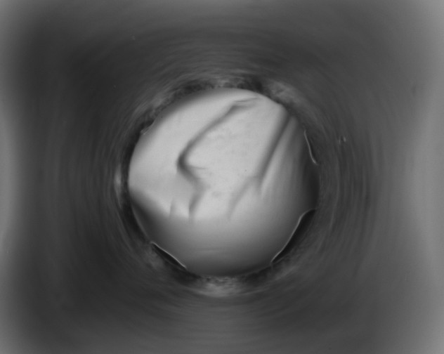 X0000086040720200704131934