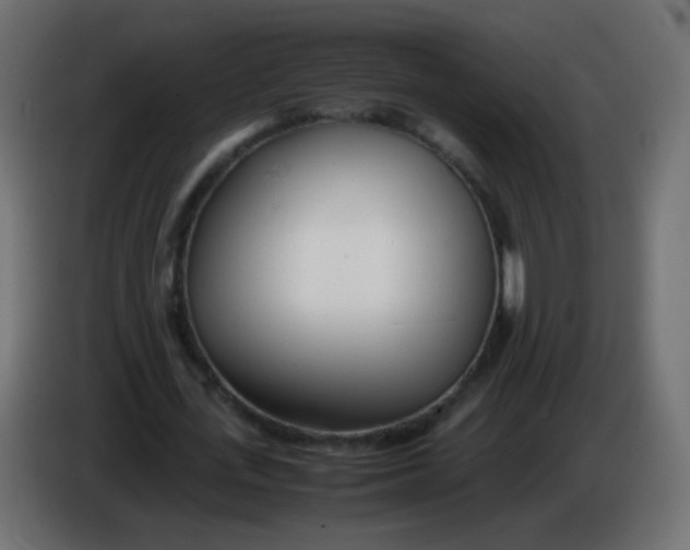X0000086040723200704131934
