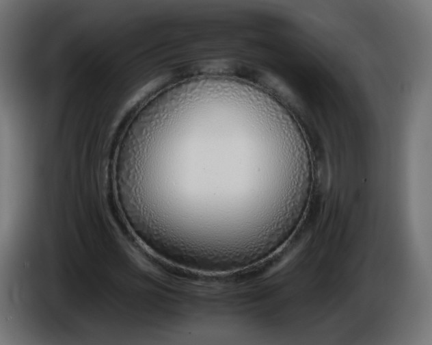 X0000086040725200704131934