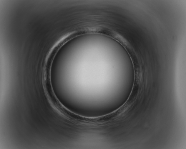 X0000086040726200704131934
