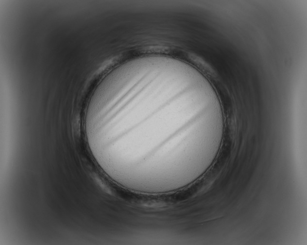 X0000086040729200704131934