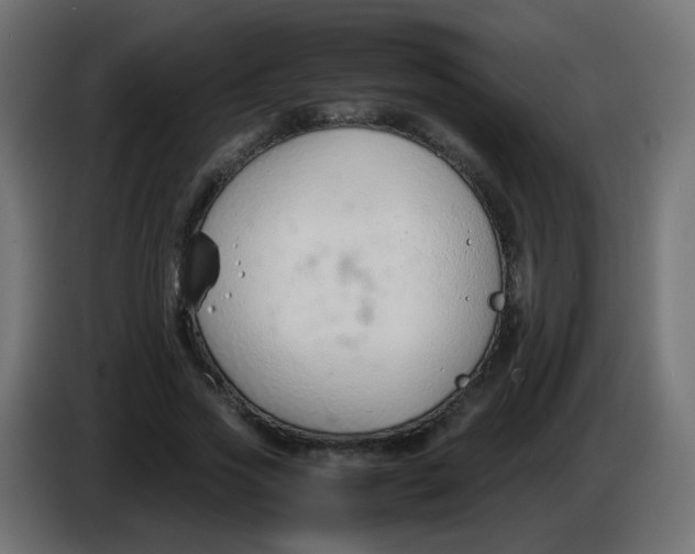 X0000086040733200704131934