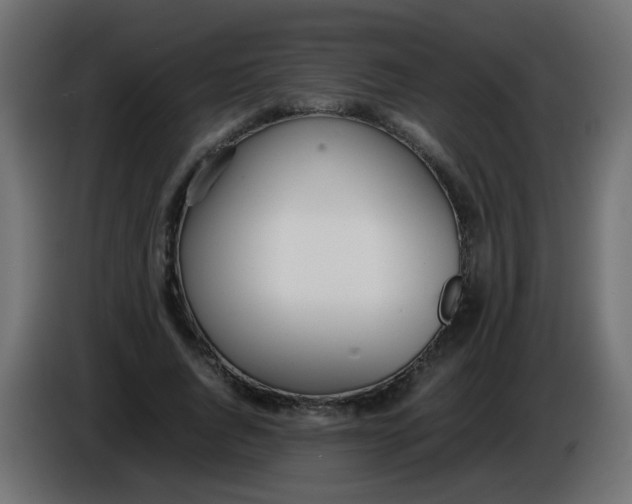 X0000086040736200704131934