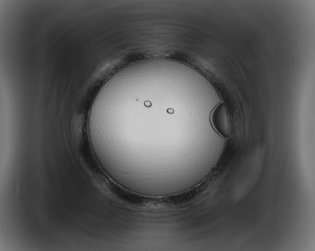 X0000086040742200704131934