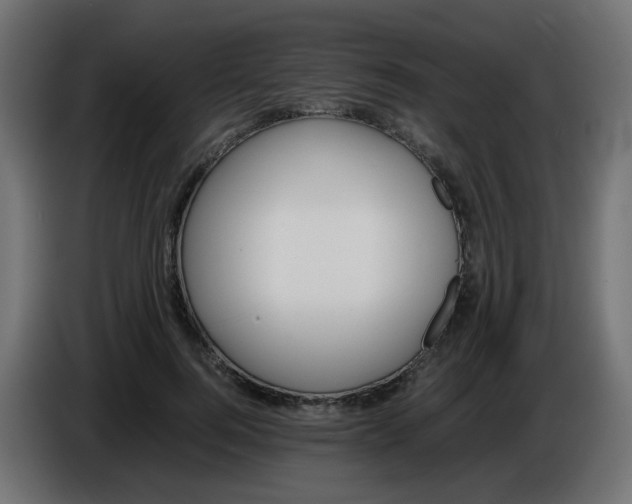 X0000086040744200704131934