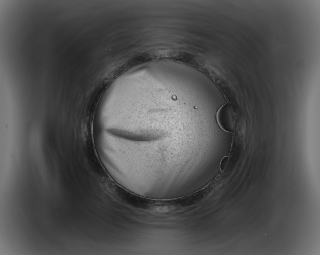 X0000086040746200704131934