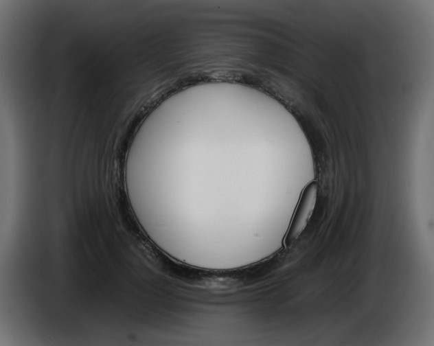X0000086040748200704131934