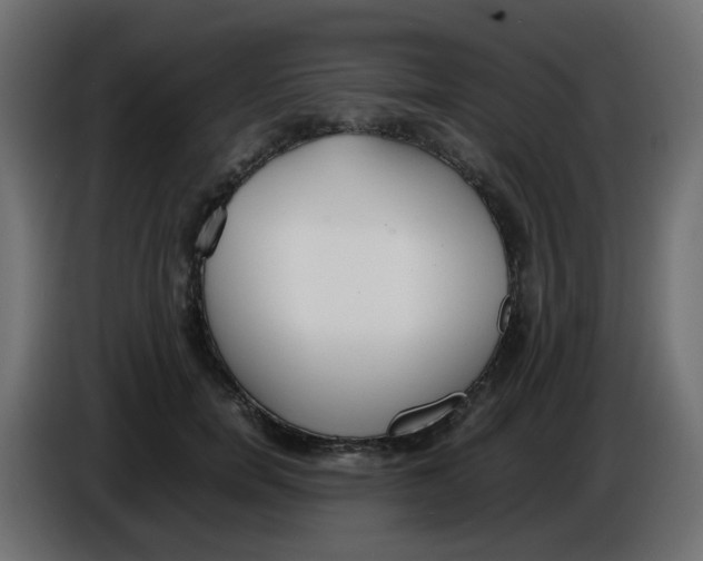 X0000086040750200704131934