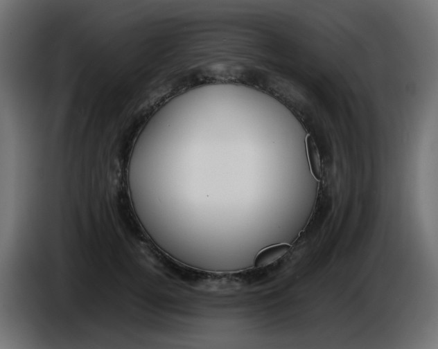 X0000086040752200704131934