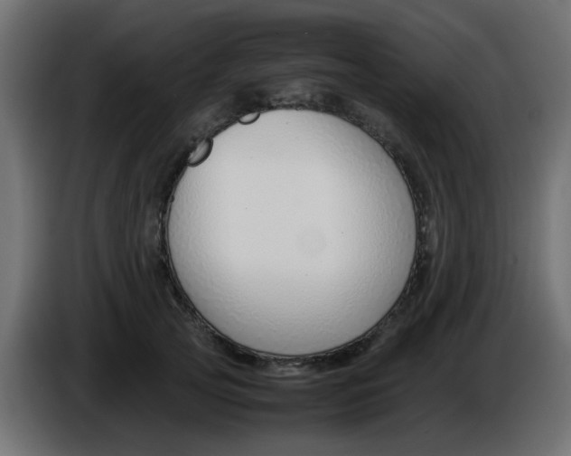 X0000086040753200704131934
