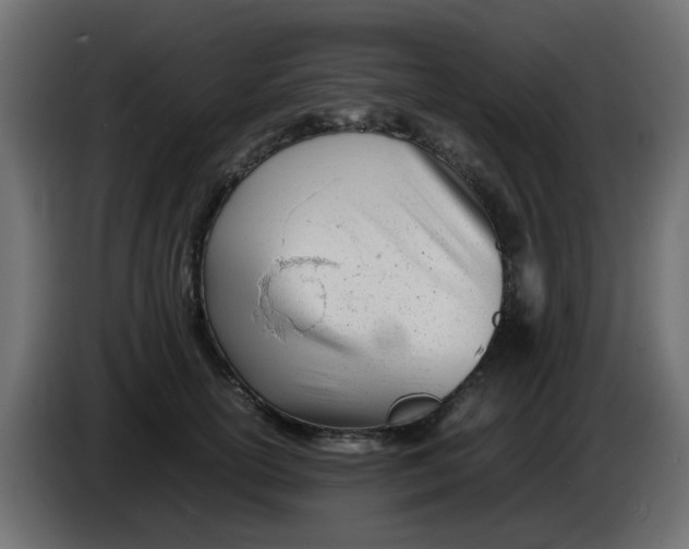 X0000086040754200704131934