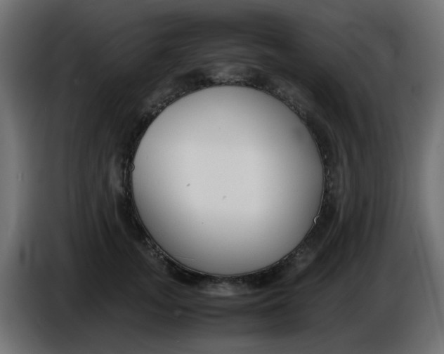 X0000086040755200704131934
