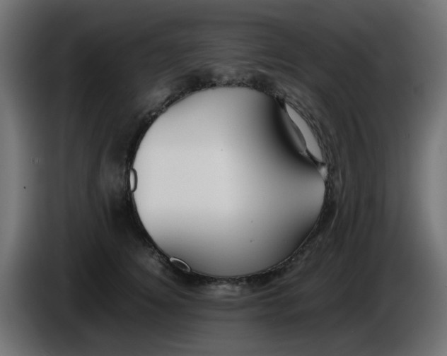 X0000086040756200704131934