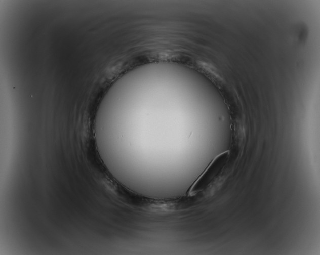 X0000086040760200704131934