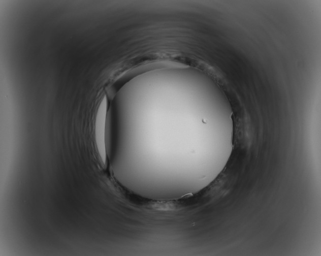 X0000086040762200704131934