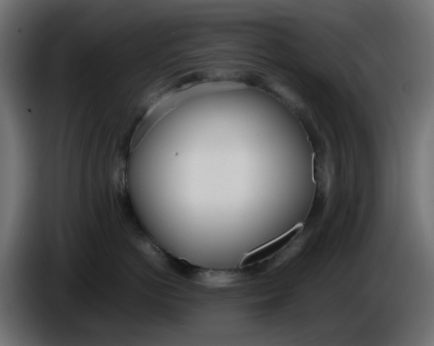 X0000086040766200704131934