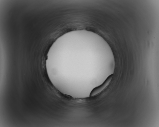 X0000086040768200704131934