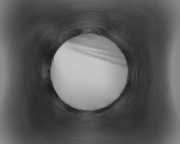 X0000086040770200704131934