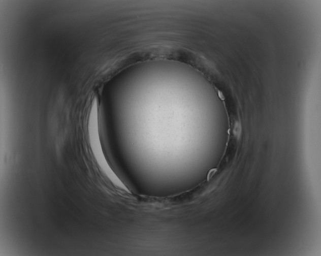 X0000086040771200704131934