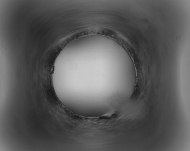 X0000086040773200704131934