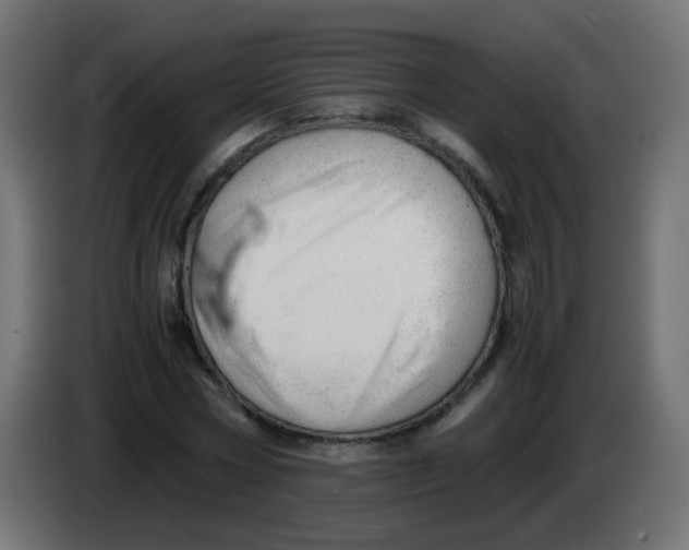 X0000086040778200704131934
