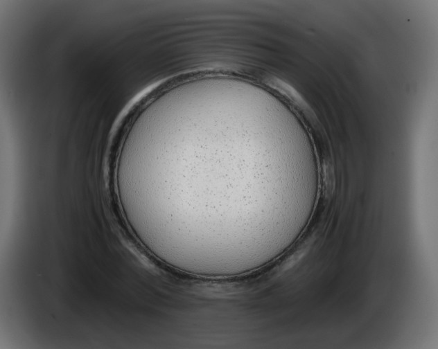 X0000086040780200704131934