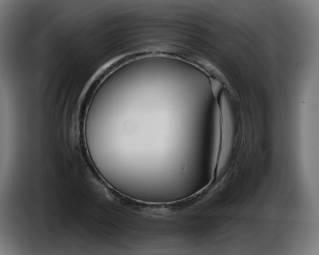 X0000086040784200704131934