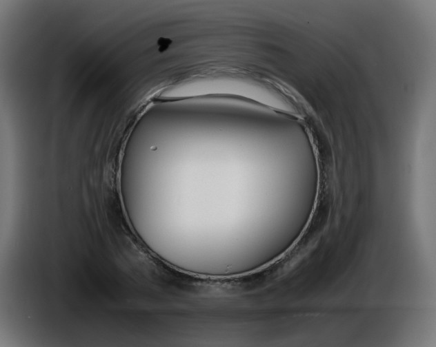 X0000086040785200704131934