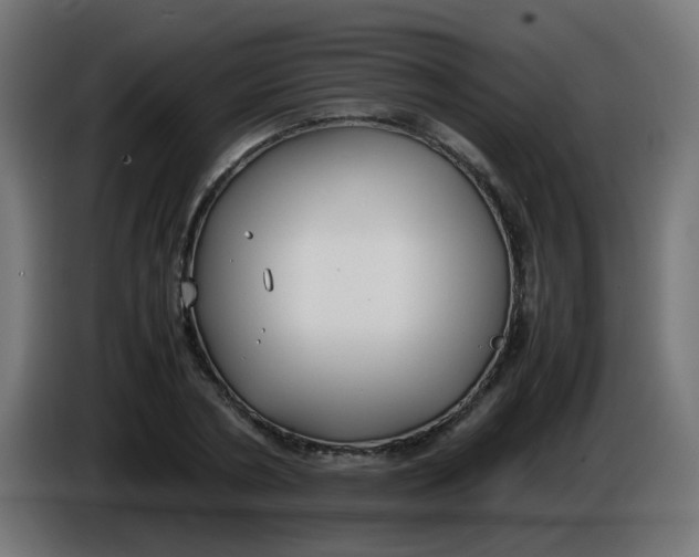 X0000086040786200704131934