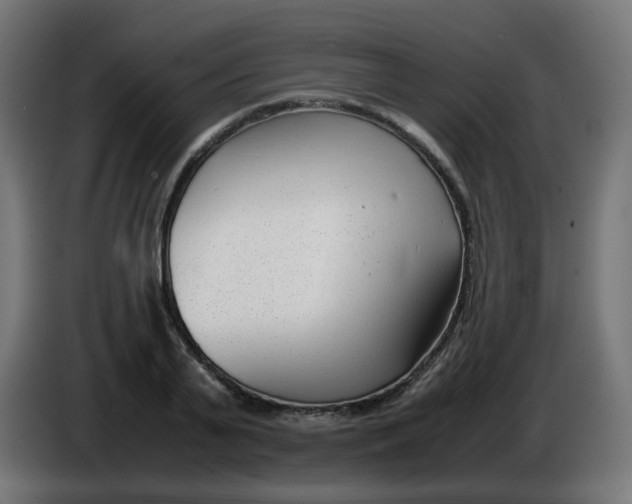 X0000086040791200704131933